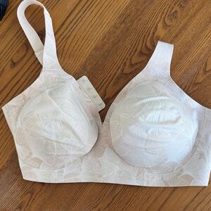 Evelyn & Bobbie Starlette Plunge M